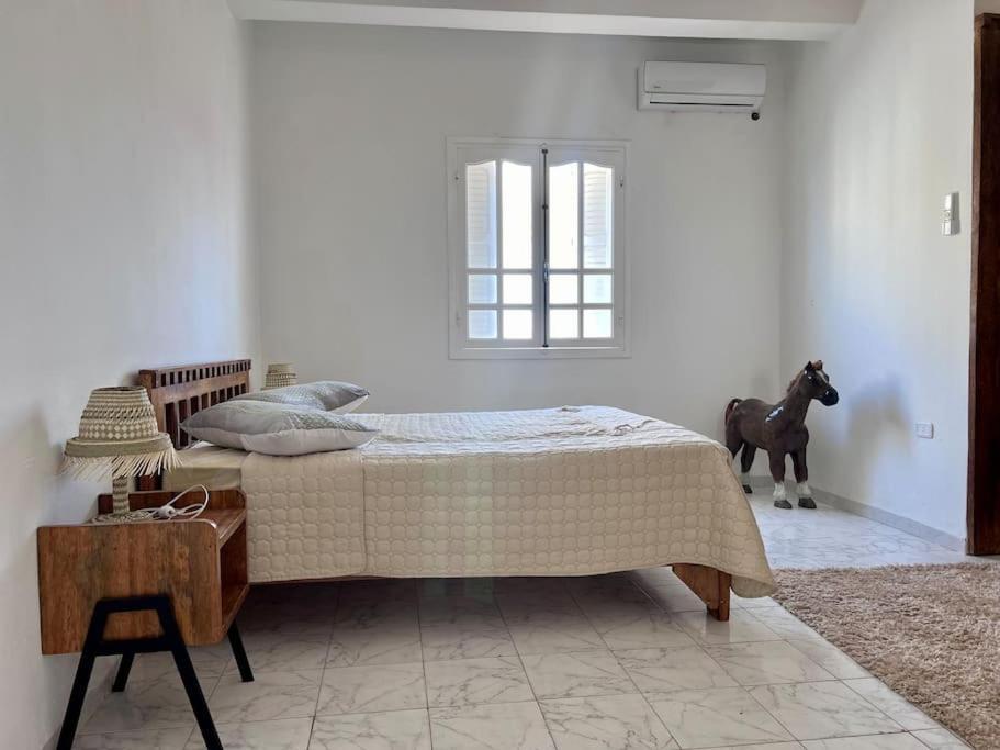 Apartamento Dar Zakaria Toursitic Area Gobernación de Gobernación de Tozeur Exterior foto